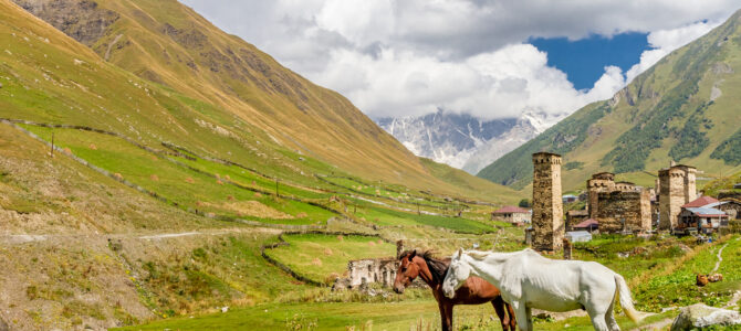 Discover Georgia Like Never Before: Our New All-in-One Tour in 2025